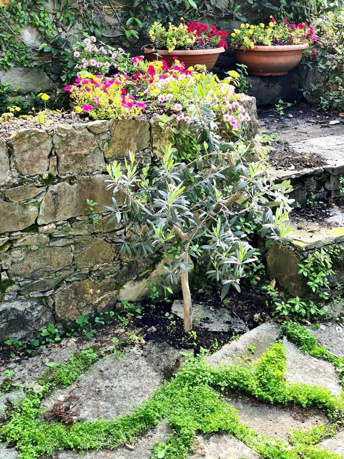 Lovely House Santa Margherita Ligure Exterior photo